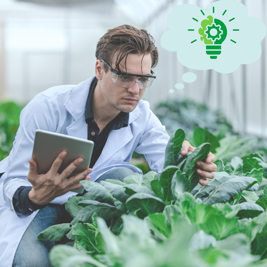 Wasted food in biorefineries