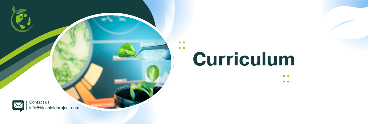 Curriculum Banner