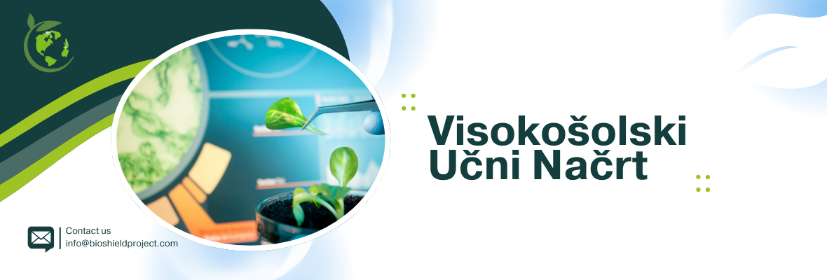 Curriculum Banner