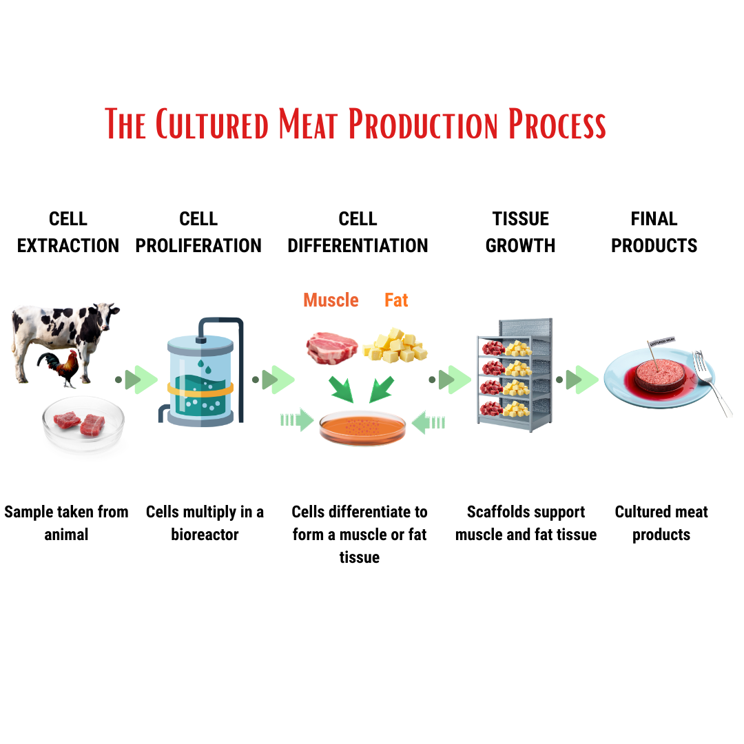 Cellular Agriculture