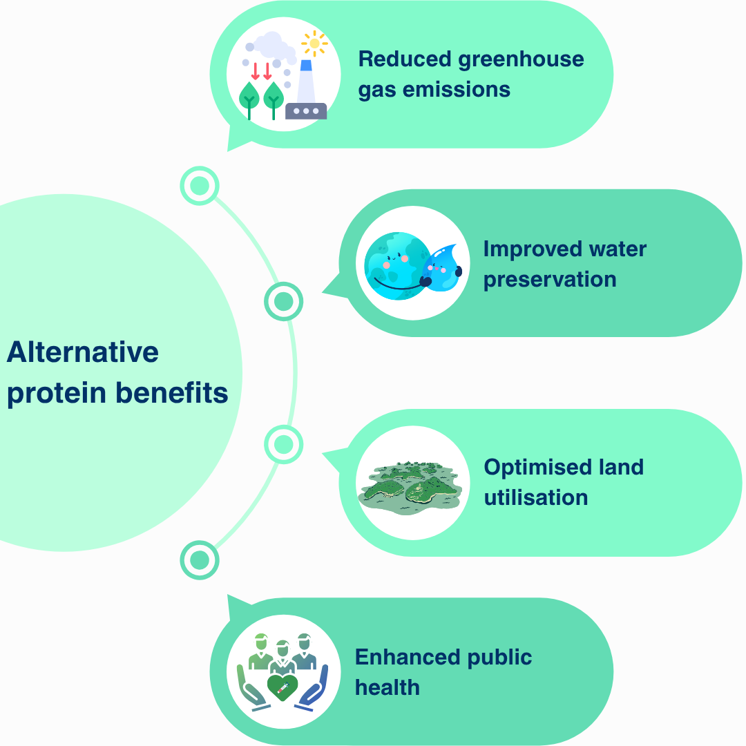 Alternative protein benefits