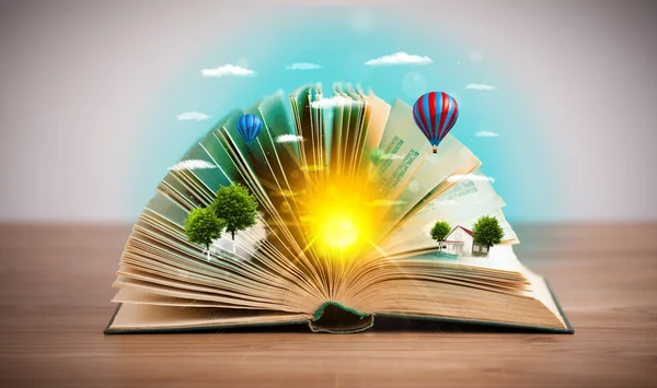 Handbook image